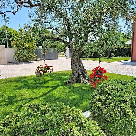 Roza By Interhome Umag
